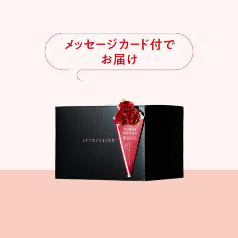 【母の日メッセージカード付き】ヒツジのいらない足枕